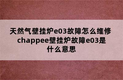 天然气壁挂炉e03故障怎么维修 chappee壁挂炉故障e03是什么意思